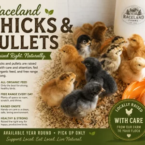 Farm-Raised Chicks & Pullets